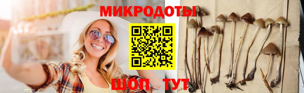 Галлюциногенные грибы Magic Shrooms Кохма